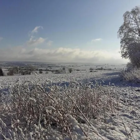 Vakantiehuis With Pool